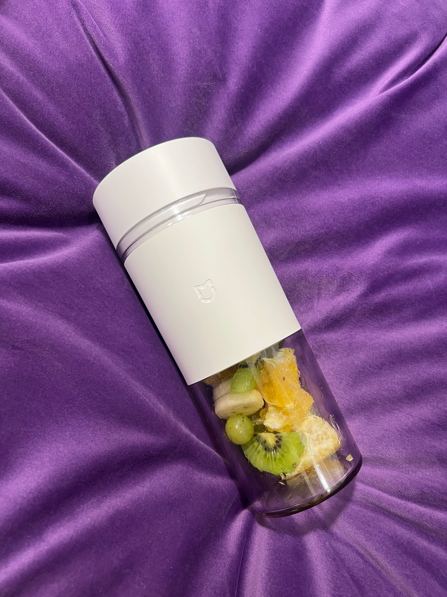 Fabula TechHome™ Portable Blender