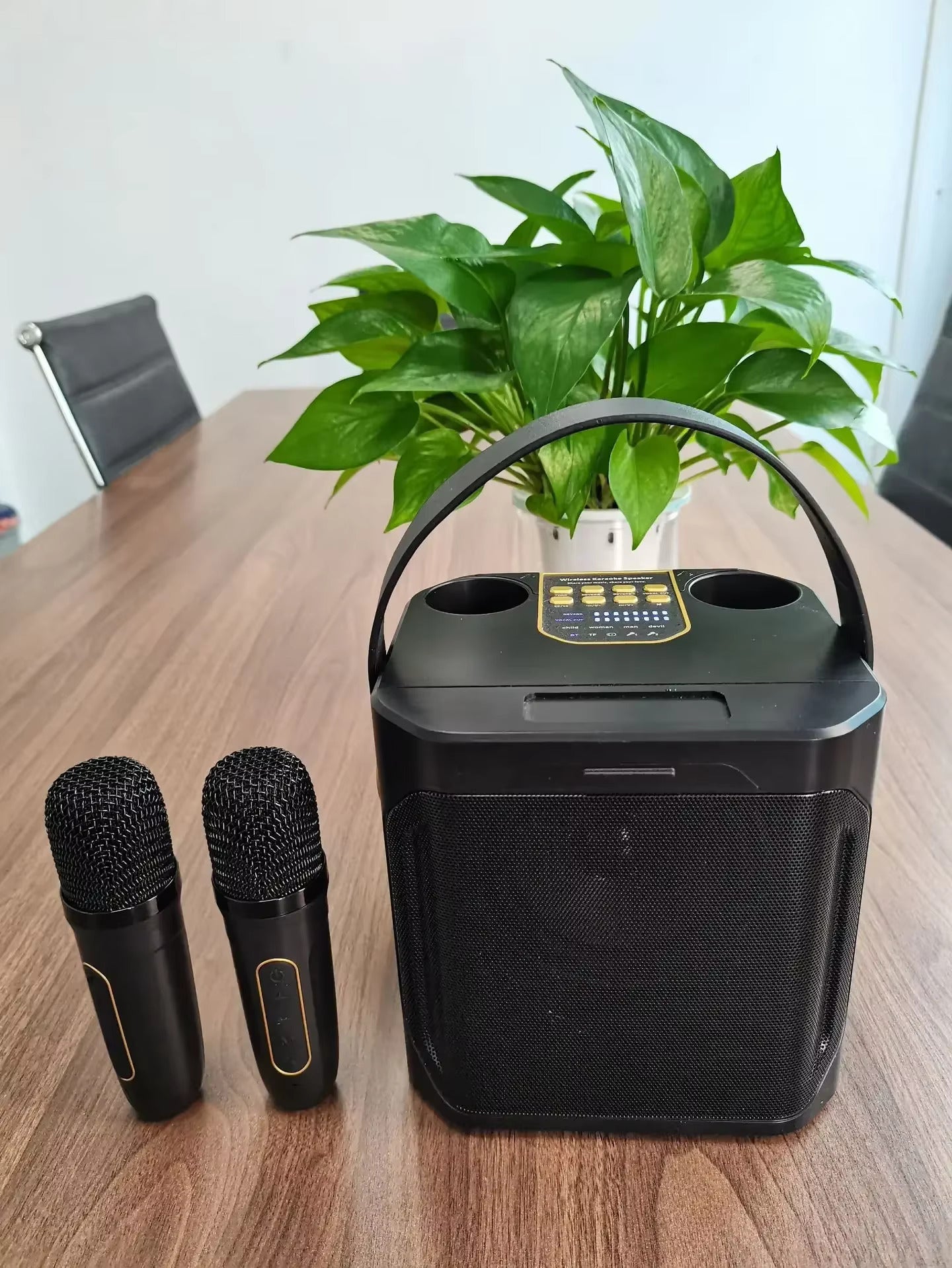 Fabula TechHome™ Portable Karaoke