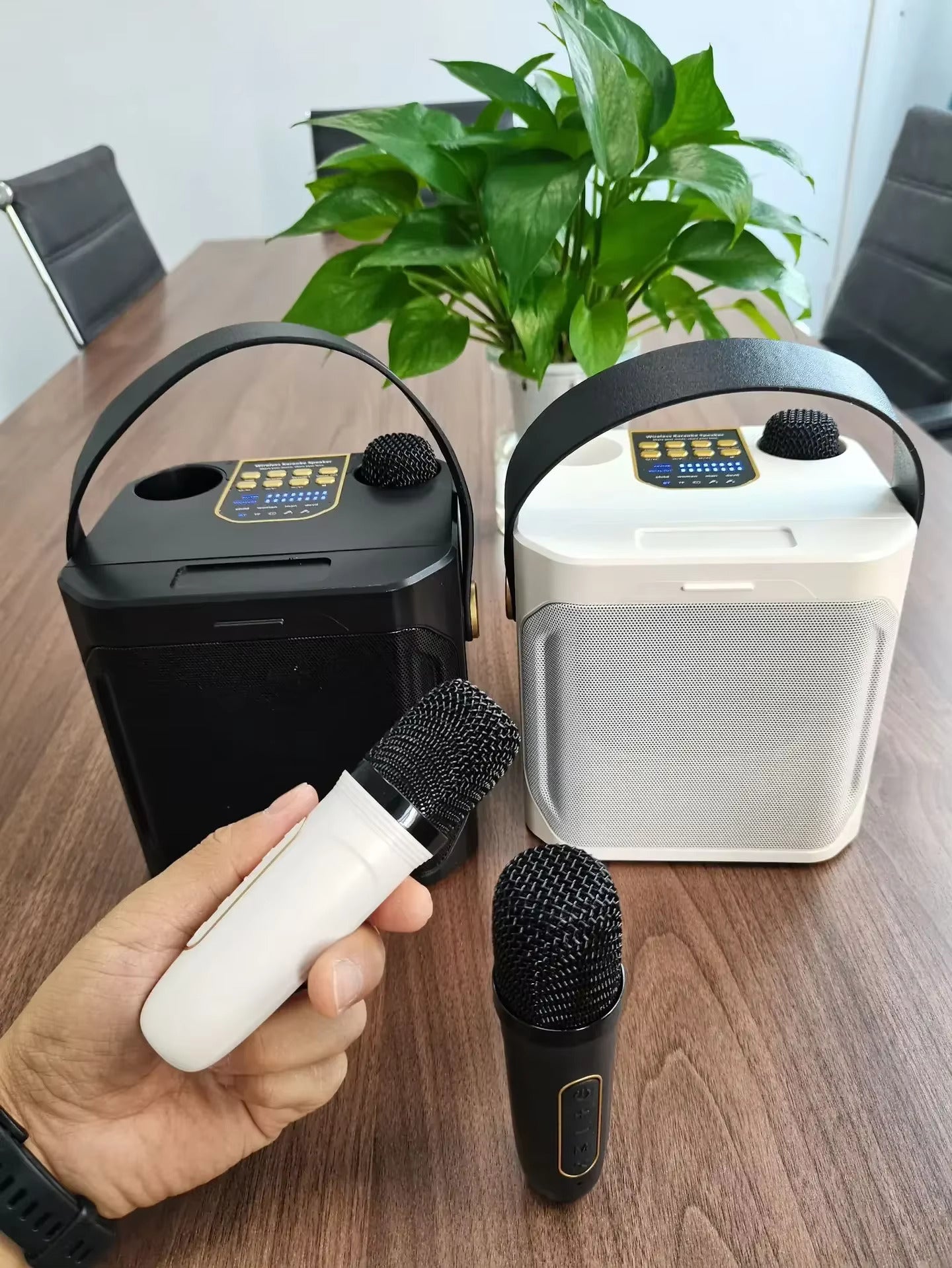 Fabula TechHome™ Portable Karaoke